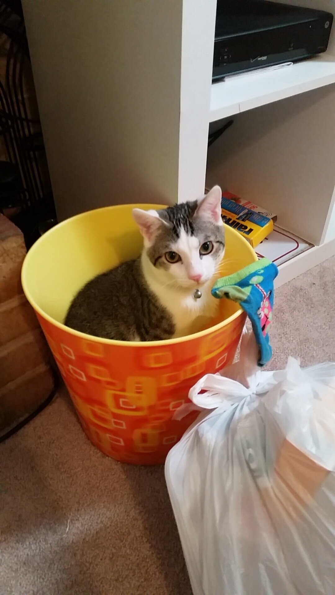 当黄蓝军团遇上红魔，三笘薰的节奏棋盘