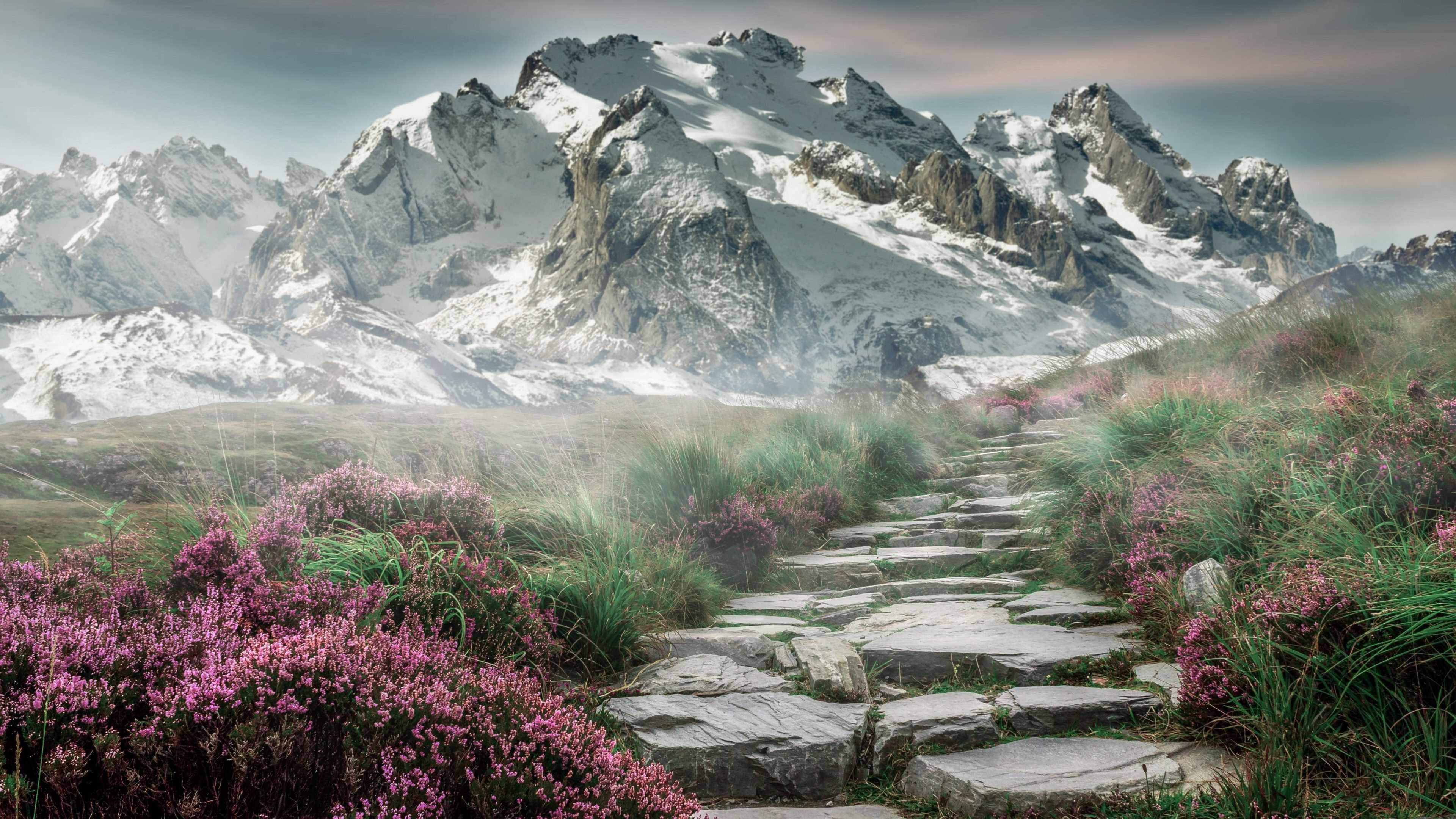 双重奇迹日，从汤杯爆冷到街道接管，一切不可能都有轨迹可循