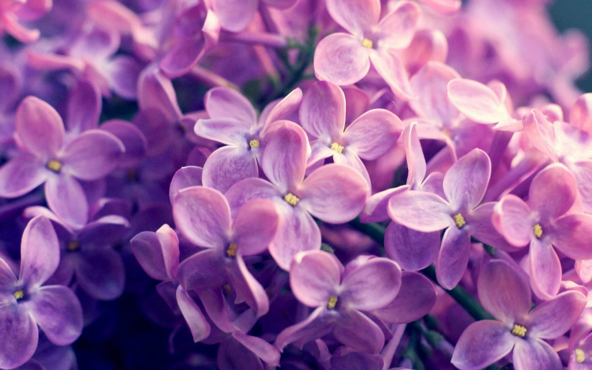 季后赛抢七之夜，凯塞多用左手鲜血铸就千分先生里程碑