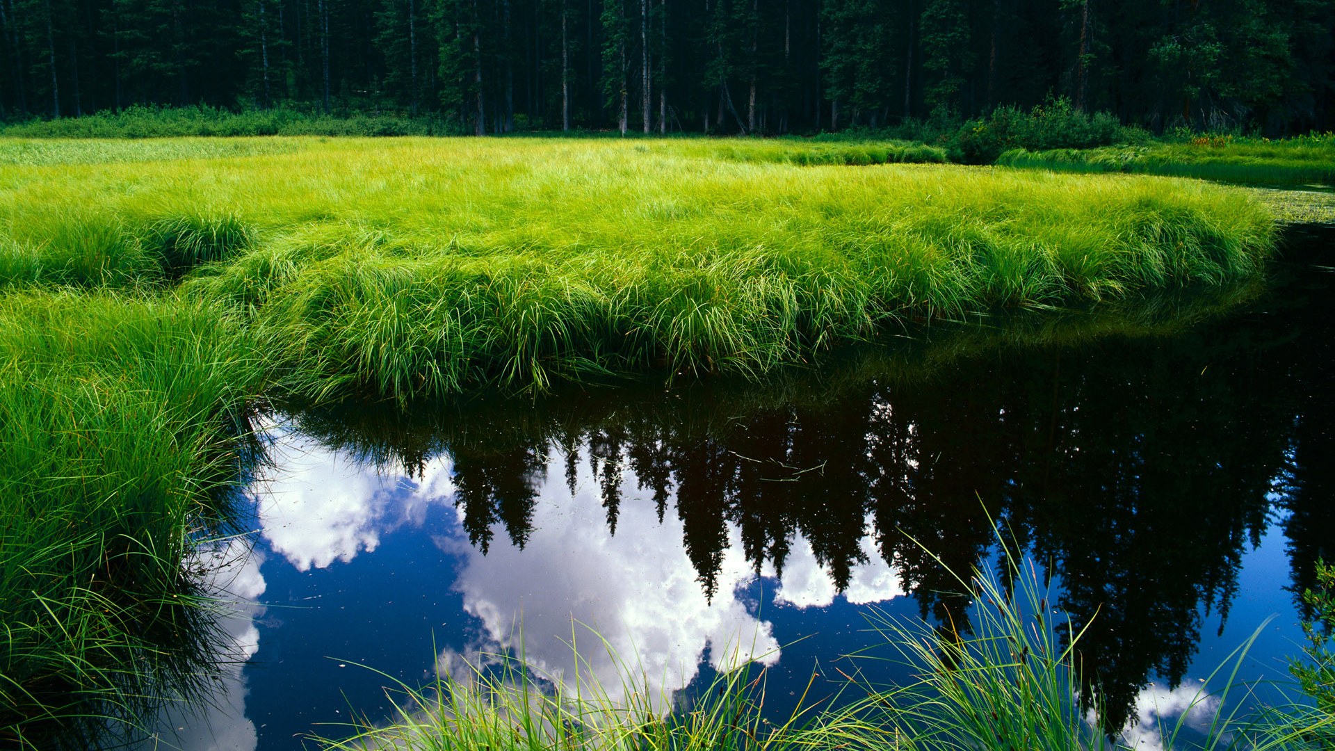 死亡小组的乌克兰铁幕，切尔西小将帕尔默如何在末节撕裂马德里竞技