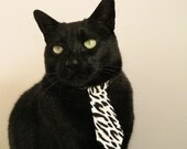 开云体育在线-赛道与绿茵，荷兰橙风横扫巴黎，维斯塔潘极限锁胜