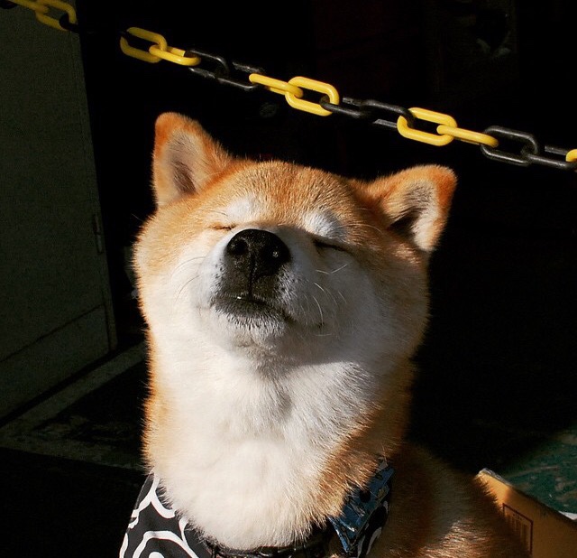 武切维奇狂砍50分创生涯之夜，雷霆横扫猛龙锁定季后赛关键胜利