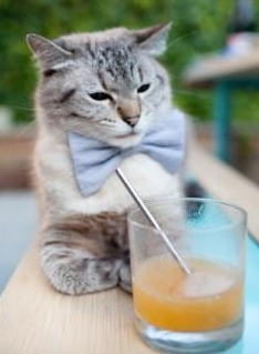 轰鸣与呐喊，两大赛场书写新篇章