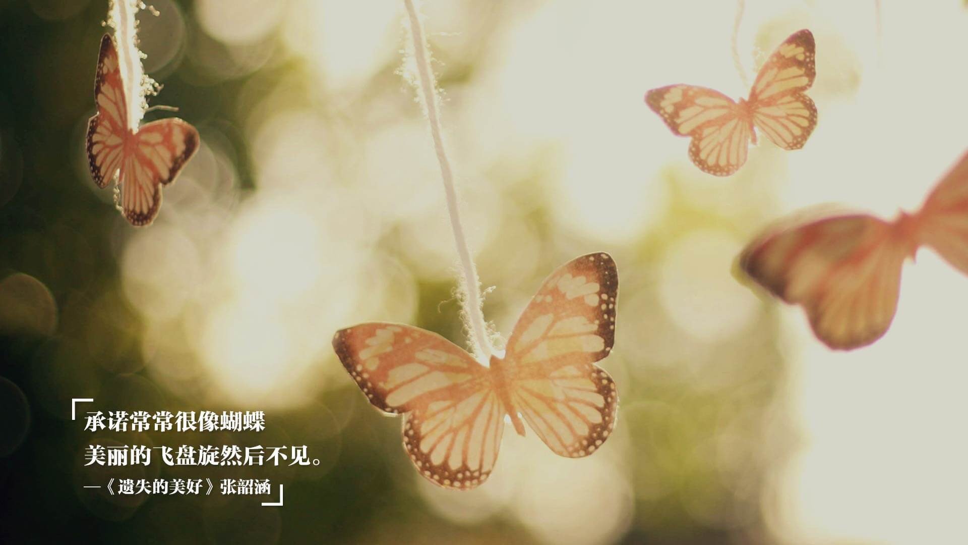 引擎轰鸣与篮筐震颤，体育世界的双重揭幕