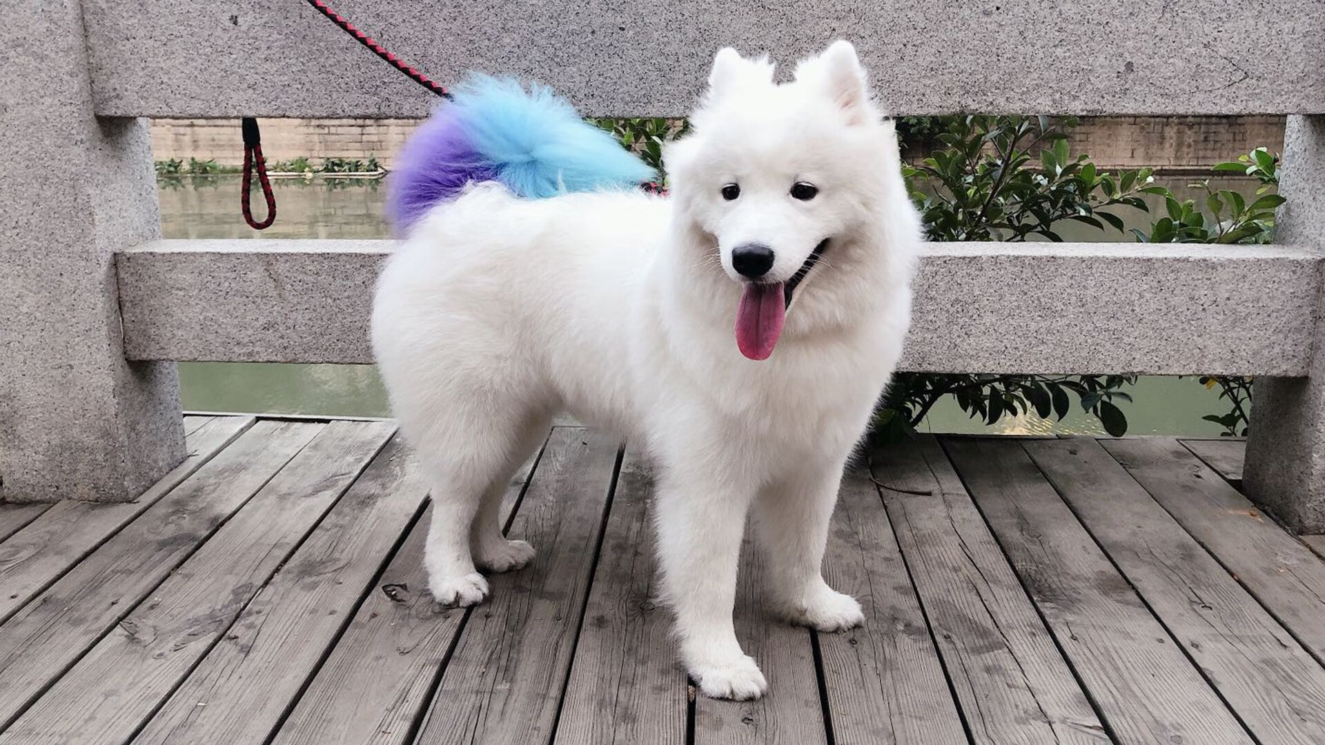 爆冷！吉林队火力全开压制勇士，保罗末节独揽15分定胜局