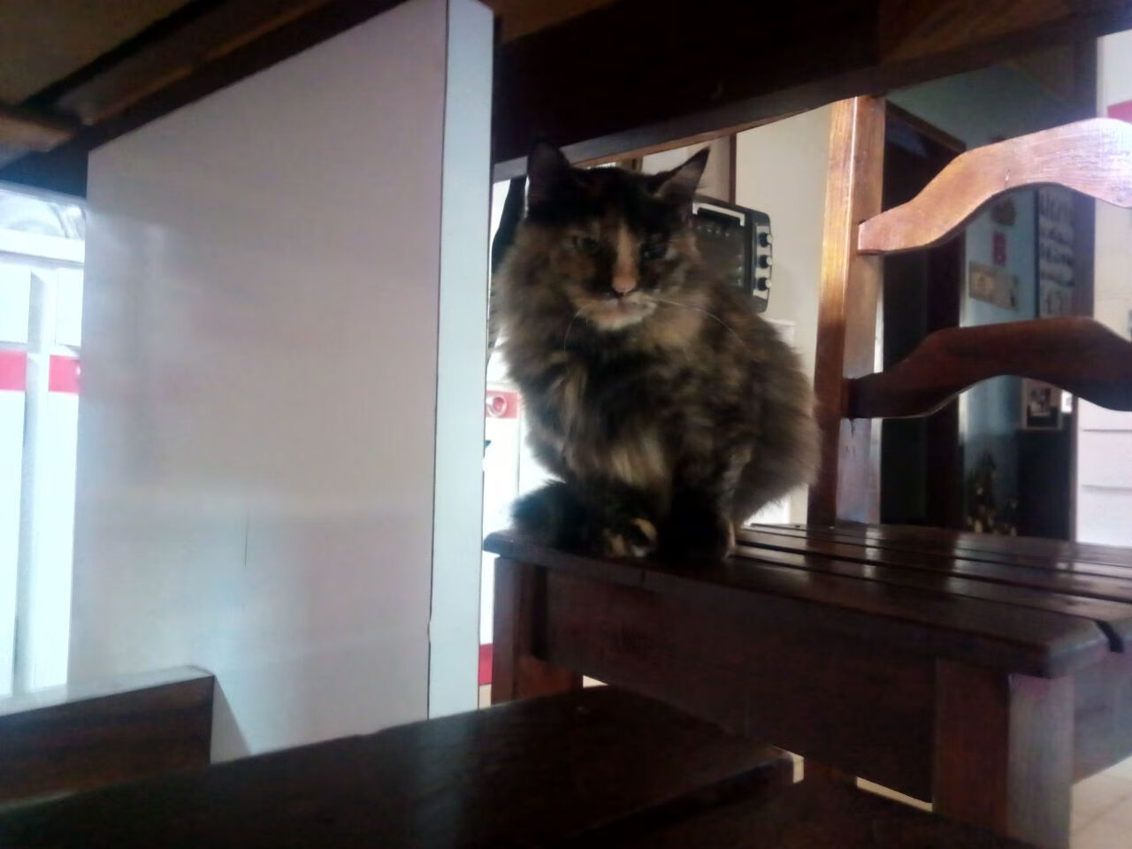 跨越八千公里的阻击,当辽宁稳稳拿下的背后,站着NBA的关键先生