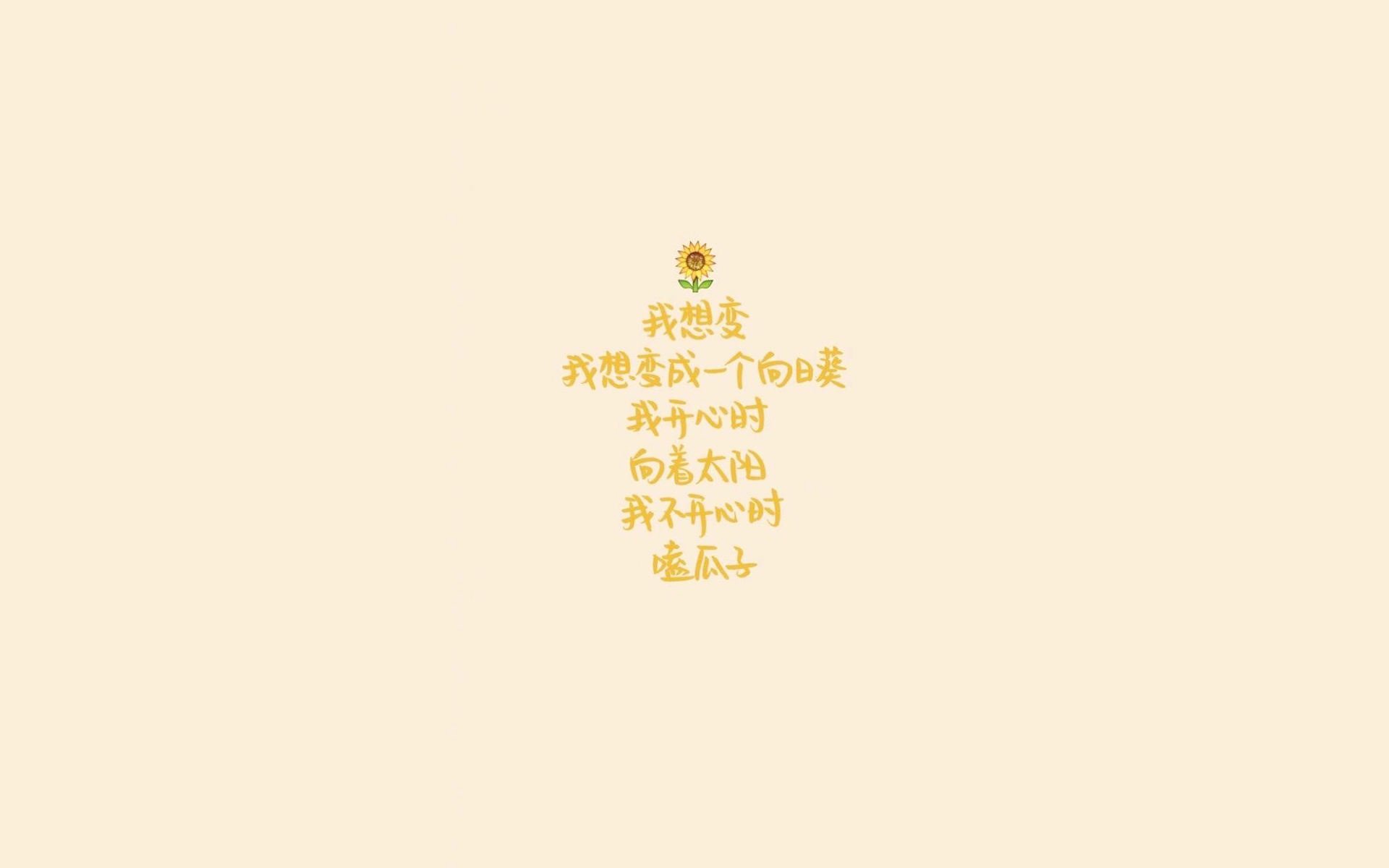 沙漠铁壁,2026世界杯H组,伊朗以钢铁防线力克美国,哈兰德一剑封喉